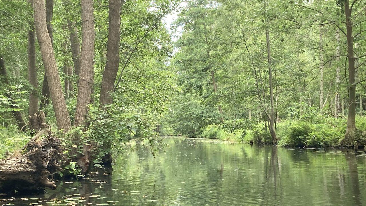 Spreewald